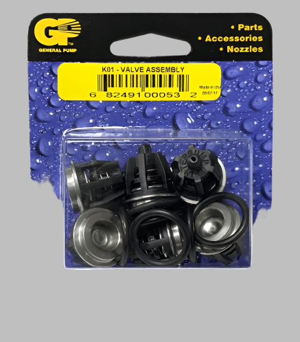 Valve Kit - TS2021 (Small Pump) - Fleet Clean USA